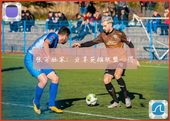 张芳独家：分享英雄联盟心得