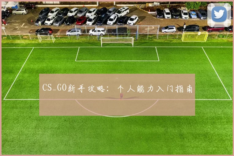 CS_GO新手攻略：个人能力入门指南