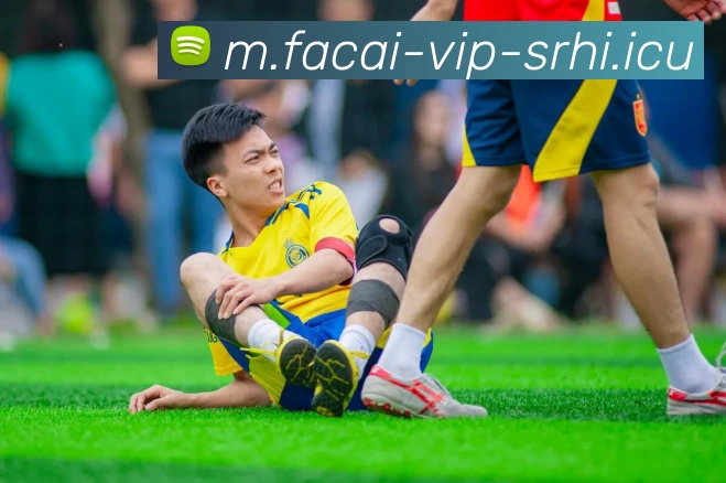 杭州乒乓球队在全国耐力排行榜中荣获第4名展现出强大实力与潜力